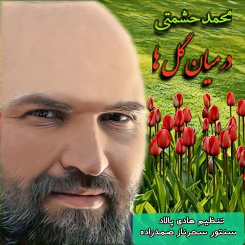 محمد حشمتی در میان گلها